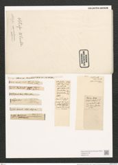 Nitzschia obtusa W. Sm. (de-Toni-Nr.: Genus 47, Species 2107) Zeichnungen Sammlung Grunow (NHMW-BOT-W0372140)